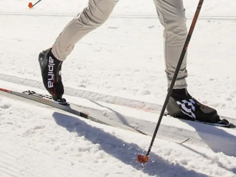 Langlaufschuhe Klassisch Alpina Race (Schwarz - 47)
