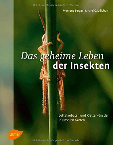 Monique Berger - Das geheime Leben der Insekten: Luftakrobaten und Kletterkünstler in unseren Gärten - Preis vom 11.10.2026 15:43:13 h