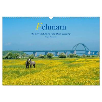 Fehmarn - 'fe mer' natürlich 'am Meer gelegen' (Wandkalender 2026 DIN A3 quer), CALVENDO Monatskalender