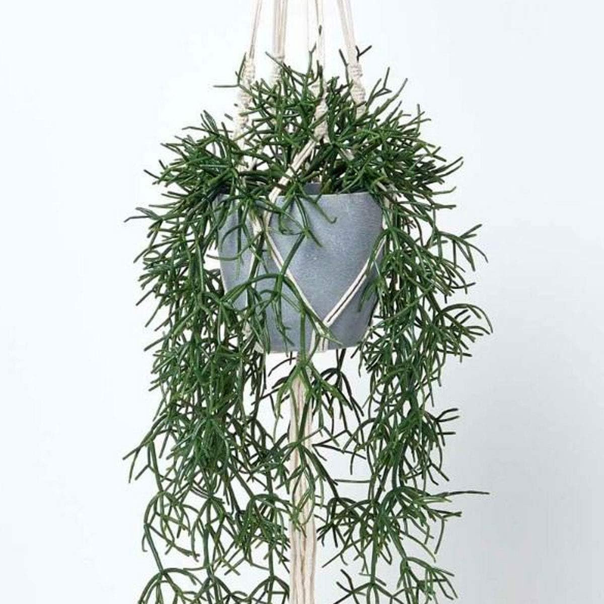 Lange kunstplant in hangmand met macramé touw voor binnen decoratie
