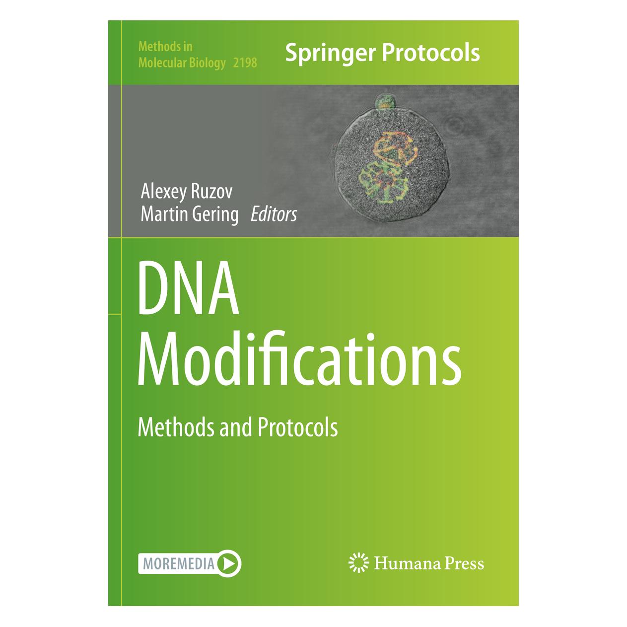 Springer DNA Modifications (Englisch, Softcover, Alexey Ruzov, Martin Gering) (56202133)