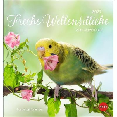 Freche Wellensittiche Postkartenkalender 2027