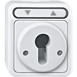 Merten Rollladentaster MEG3718-8019