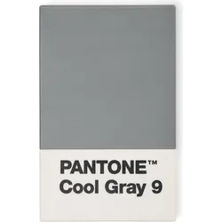 Pantone Kartenetui grau
