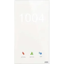 Busch-Jaeger Raumaussensensor TSN/U.2.1-CG
