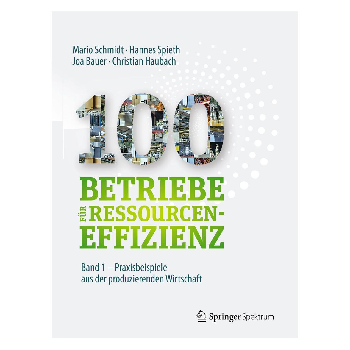 Springer 100 Betriebe für Ressourceneffizienz.01 (9783662533666)