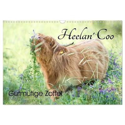 Heelan' Coo - Gutmütige Zottel (Wandkalender 2027 DIN A3 quer), CALVENDO Monatskalender
