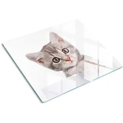 GLASPLATTE 60x52 cm Graue Katze