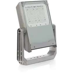 Philips Lighting LED-Außenstrahler BVP655 LED #79613300