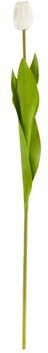 Saro Lifestyle Tulip Stem Floral Accent (Set of 12)