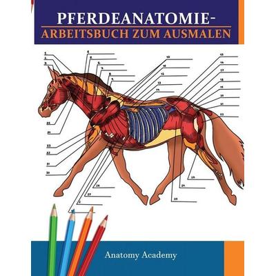 Pferdeanatomie-Arbeitsbuch zum Ausmalen, Taschenbuch von Anatomy Academy, Muze Publishing, 978-1-80421-094-9