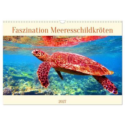 Faszination Meeresschildkröten (Wandkalender 2027 DIN A3 quer), CALVENDO Monatskalender