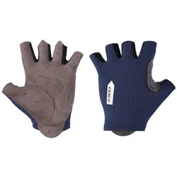 Q36.5 Handschuhe Kurzfinger Dottore Pro Sommer Pinstripe | marineblau