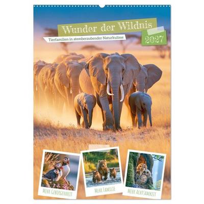 Wunder der Wildnis (Wandkalender 2027 DIN A2 hoch), CALVENDO Monatskalender