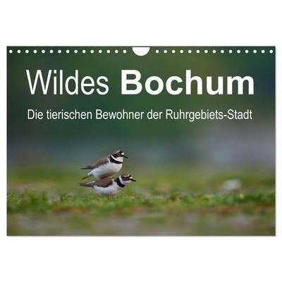 Wildes Bochum (Wandkalender 2026 DIN A4 quer), CALVENDO Monatskalender