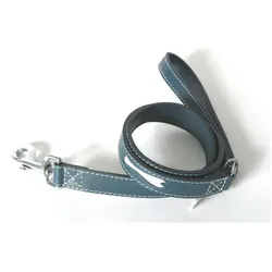 Image Olivier (Hund, Allgemein, Spazieren), Halsband + Leine
