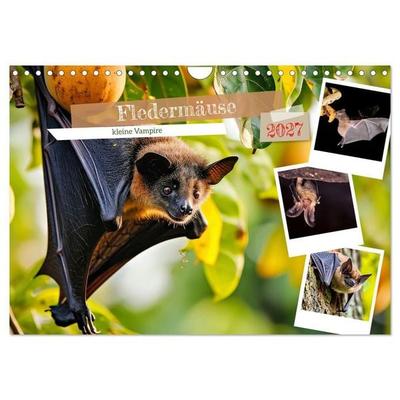 Fledermäuse - kleine Vampire (Wandkalender 2027 DIN A4 quer), CALVENDO Monatskalender