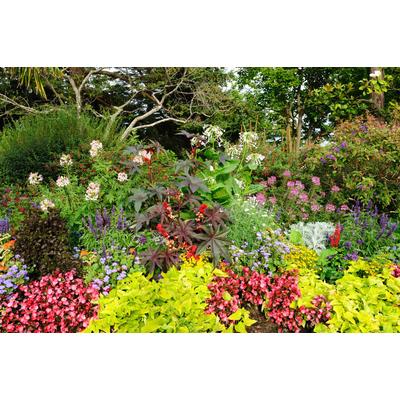 Fototapete PAPERMOON "GARTEN-BÄUME BLUMEN PFLANZEN PARK STEINE WALD BLÜTEN", bunt, B:4,5m L:2,8m, Vlies, Tapeten