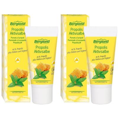 Propolis Aktivsalbe 2x 2x30 ml Salbe