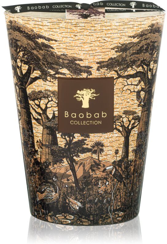 Baobab Collection Sacred Trees Mankono bougie parfumée 3000 g