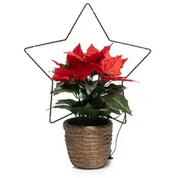 LUMIDA Flora Weihnachts-Pflanze mit LED-Silhouettte outdoorgeeginet 30 LEDs, Timer