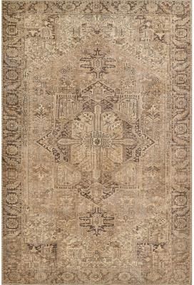 Momeni Ariana Traditional Medallion Polyester Area Rug