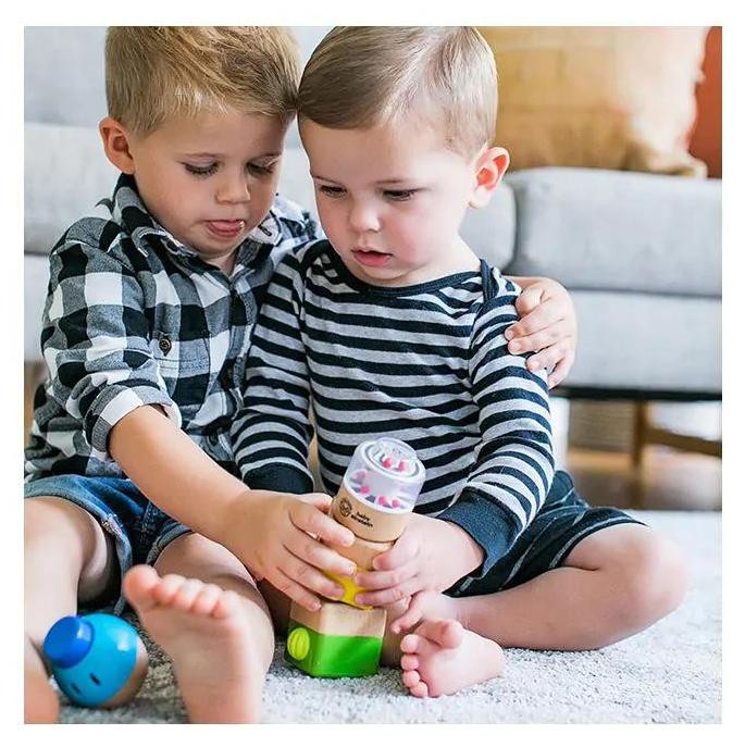 Hape Baby Einstein Vier basisprincipes