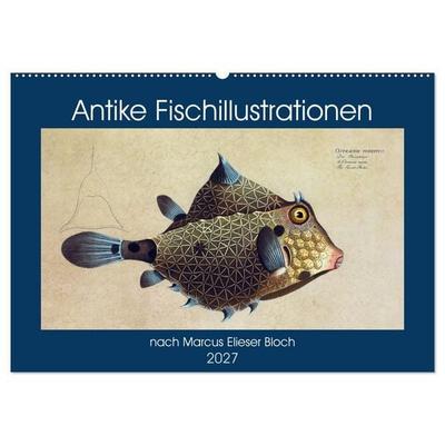 Antike Fischillustrationen nach Marcus Elieser Bloch (Wandkalender 2027 DIN A2 quer), CALVENDO Monatskalender