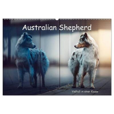 Australian Shepherd - Vielfalt in einer Rasse (Wandkalender 2026 DIN A2 quer), CALVENDO Monatskalender