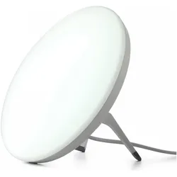 Fysic, Tageslichtlampe, FW-450 (10000 lx)