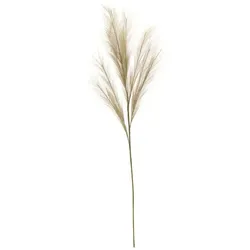Pampaswedel   ¦ braun ¦ Kunststoff,Naturfaser ¦ Maße (cm): B: 18 H: 110
