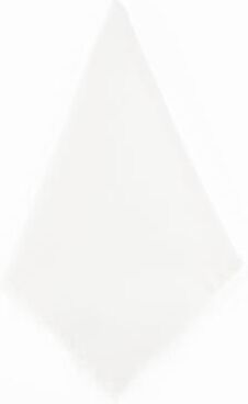 Saro Lifestyle Fringed Design Stone Washed Linen Napkins or Placements (Set of 4)