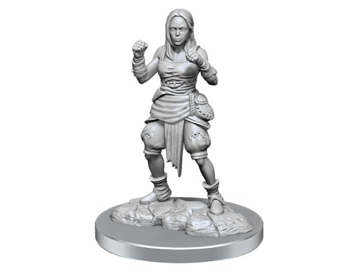 WizKids Pathfinder Diepe sneden: Half-Elf Monnik Vrouwelijke Pathfinder Miniaturen