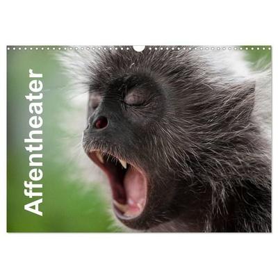 Affentheater (Wandkalender 2027 DIN A3 quer), CALVENDO Monatskalender