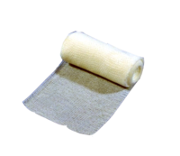 Param GmbH VERBANDPÄCKCHEN groß 100x120 1 St 04866239