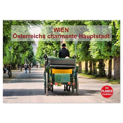Wien - Österreichs charmante Hauptstadt (Wandkalender 2026 DIN A2 quer), CALVENDO Monatskalender