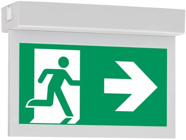 Ceag Système de lumière de secours LED avec batterie individuelle et test automatique par radio 10821 1-8/D CGLine+ ; Eaton (40071353264)