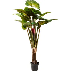 KARE DESIGN Kunstpflanze Rainforest 60720 Kunststoff Grün