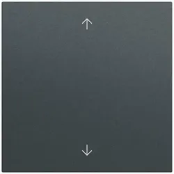 Gira Bedienelement 1-fach anthrazit 536173
