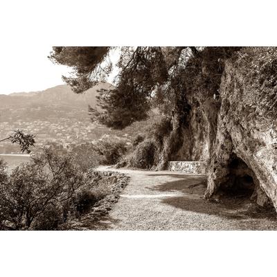 Fototapete PAPERMOON "lanschaft Sepia", bunt, B:5m L:2,8m, Vlies, Tapeten