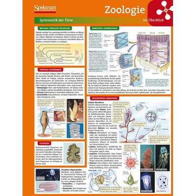 Lerntafel: Zoologie im Überblick, Poster von Birgit Jarosch, Spektrum der Wissenschaft, 978-3-8274-2131-9