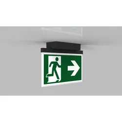 RP-Technik LED-Rettungszeichenleuchte AGD009-AZ