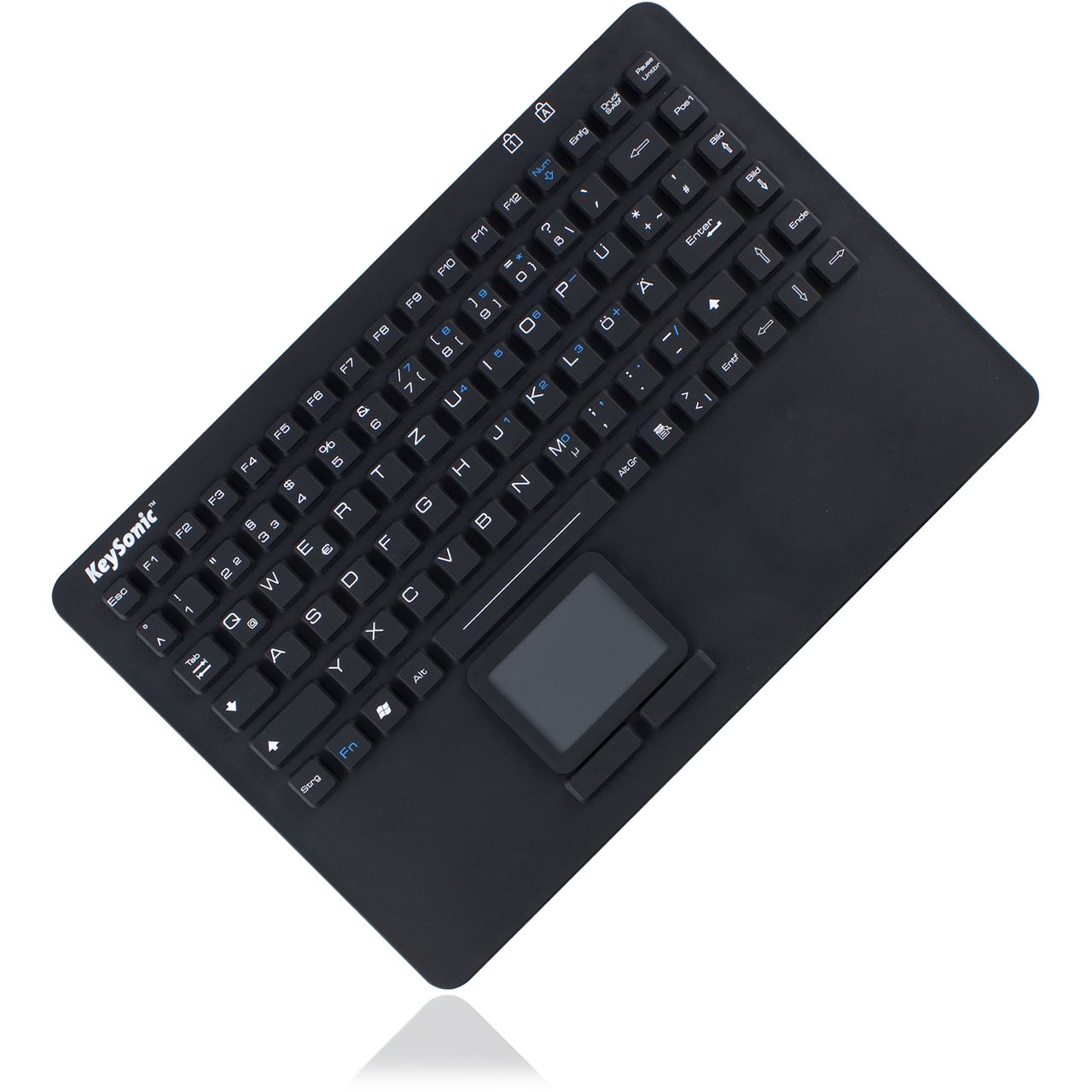KeySonic KSK-5230 IN USB Schweizer Deutsch schwarz (kabelgebunden)