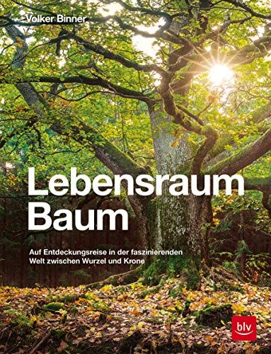 Volker Binner - Lebensraum Baum: Auf Entdeckungsreise in der faszinierenden Welt zwischen Wurzel und Krone (Natur) - Preis vom 09.10.2026 07:28:09 h