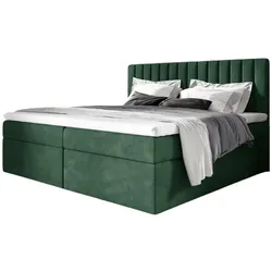BOXBETT Linnea