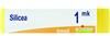BOIRON Srl SILICEA Dose MK