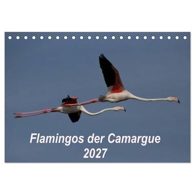 Flamingos der Camargue 2027 (Tischkalender 2027 DIN A5 quer), CALVENDO Monatskalender