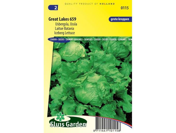 IJsbergsla zaden Great Lakes 659