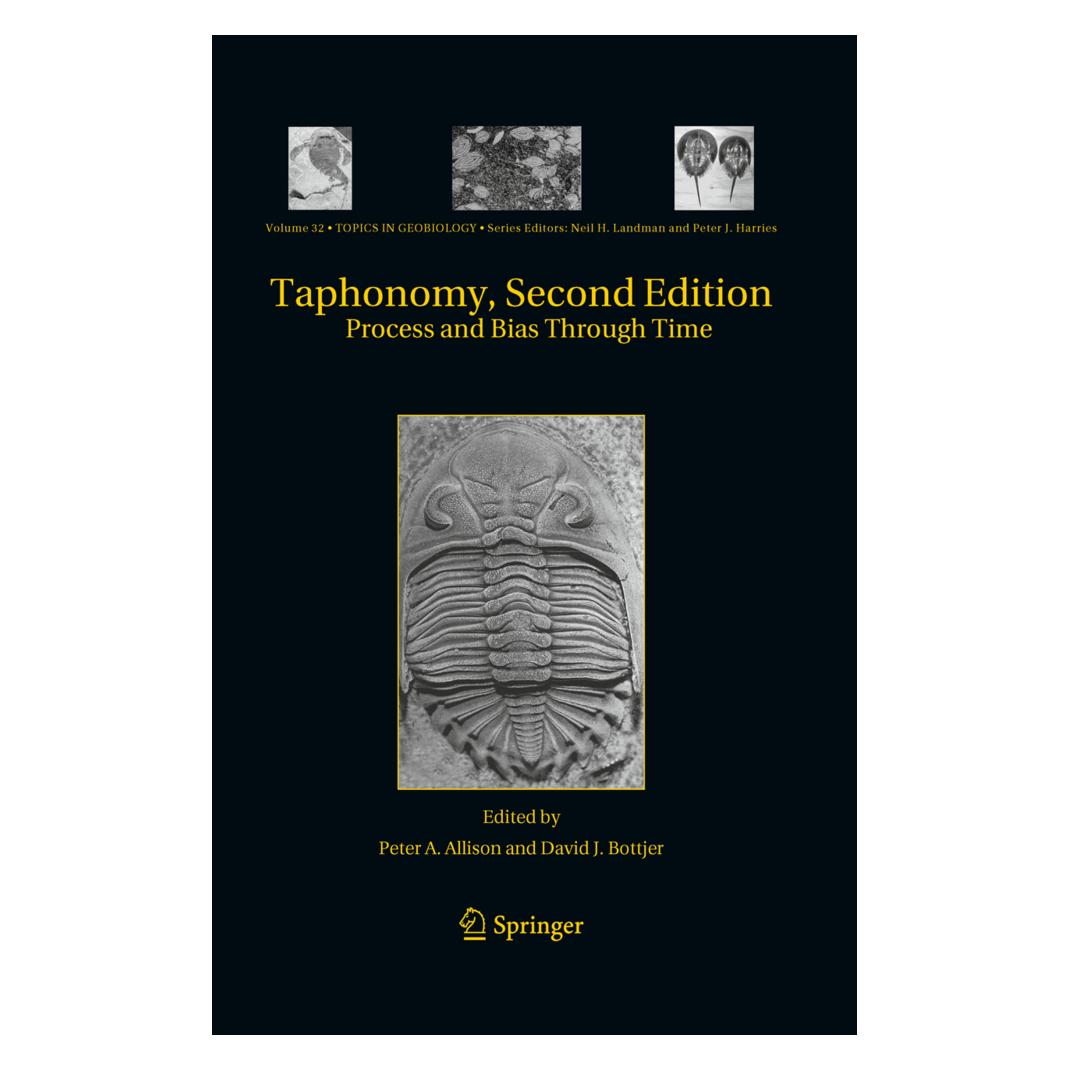 Springer Taphonomy (Englisch, Softcover, David J. Bottjer, Peter A. Allison) (55507749)