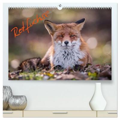 Rotfüchse (hochwertiger Premium Wandkalender 2026 DIN A2 quer), Kunstdruck in Hochglanz
